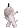 cat dance