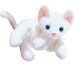 beanie cat