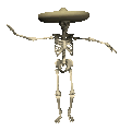 dancing skeleton