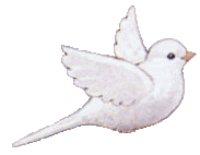 dove