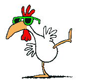 rooster