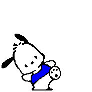 pocchaco