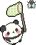 panda