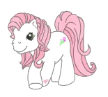 pony spin