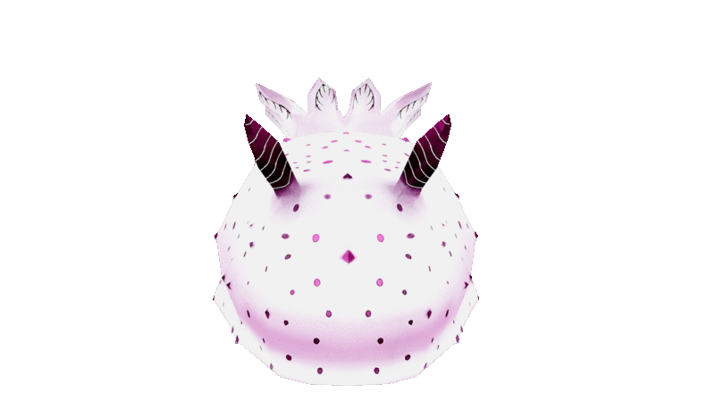 sea hare