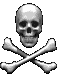 skull