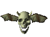 bat skull