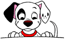 dalmatian