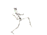 skeleton
