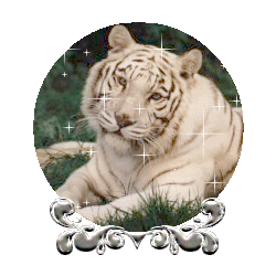 tiger globe