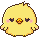 chick