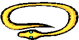 snake