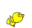 canary
