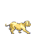 dog bone