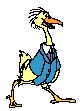 fancy duck