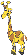 giraffe