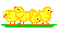 chicks