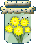 dandelions