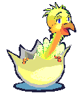 ostrich
