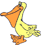 pelican