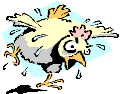 chicken