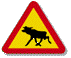 moose crossing