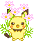 pichu flowers