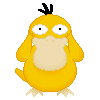 psyduck