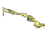 skeleton