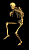 skeleton creep