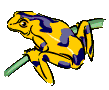 dart frog