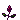 blooming rose pixel
