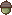 acorn