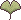 ginkgo