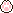 cat paw