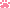 paw