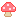 mushroom bounce