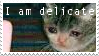 i am delicate