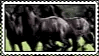 horses