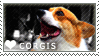 i love corgis
