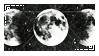 moons