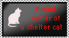 proud owner of a shelter cat