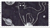 space cat