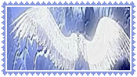 angel wings