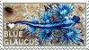 i love blue glaucus