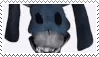 bon stare