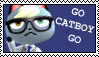 go catboy go