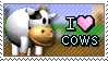 i love cows