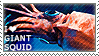 i love giant squid