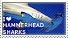 i love hammerhead sharks